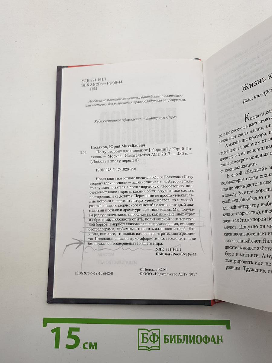 По ту сторону вдохновения