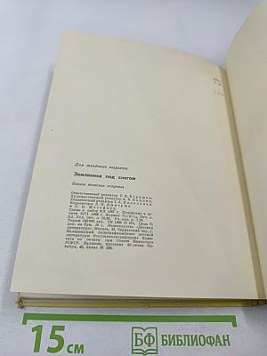 Земляника под снегом. Сказки японских островов