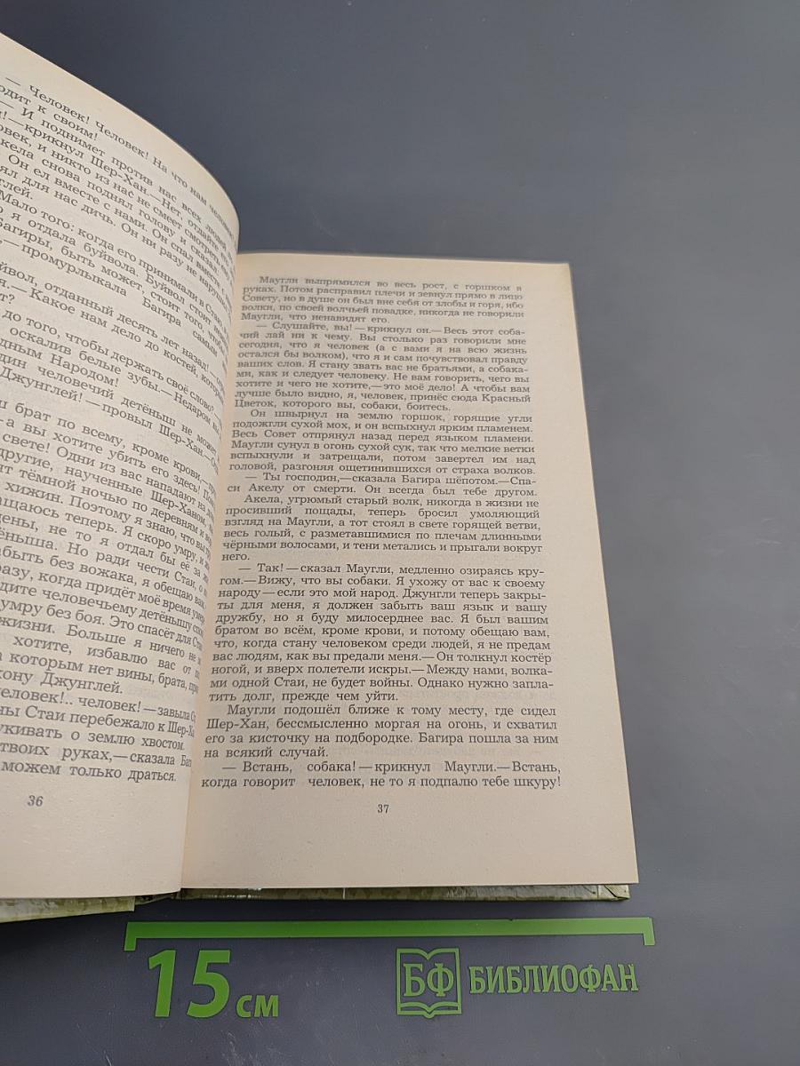 Маугли. Малыш и Карлсон. Винни-Пух и Все-Все-Все