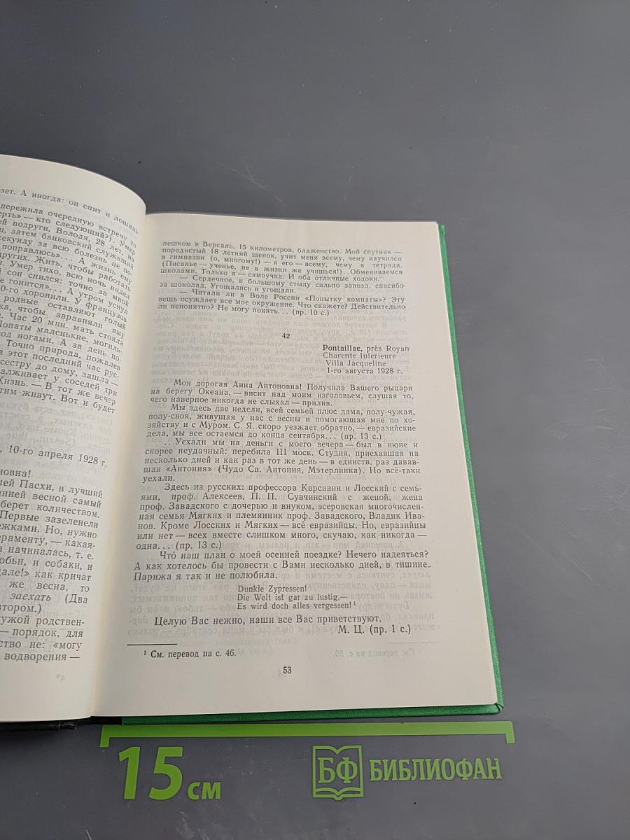 Марина Цветаева. Письма к Анне Тесковой