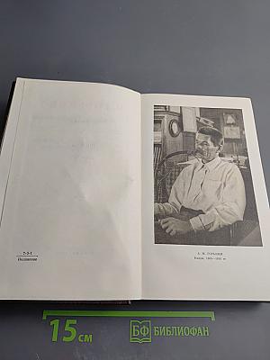 Повести 1907-1909. Том девятый