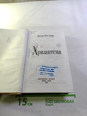 Хризантема