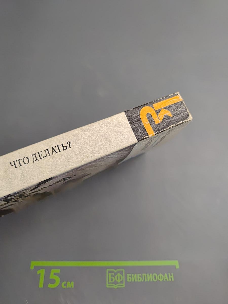 Что делать?