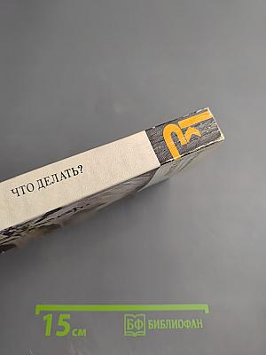 Что делать?