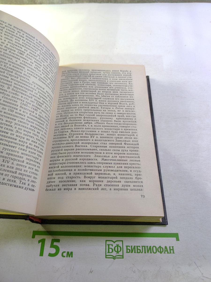 Исторические портреты. Деятели исторической мысли