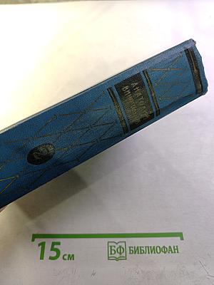 Избранные произведения. Том второй. Повесть о братьях Тургеневых. Черный консул