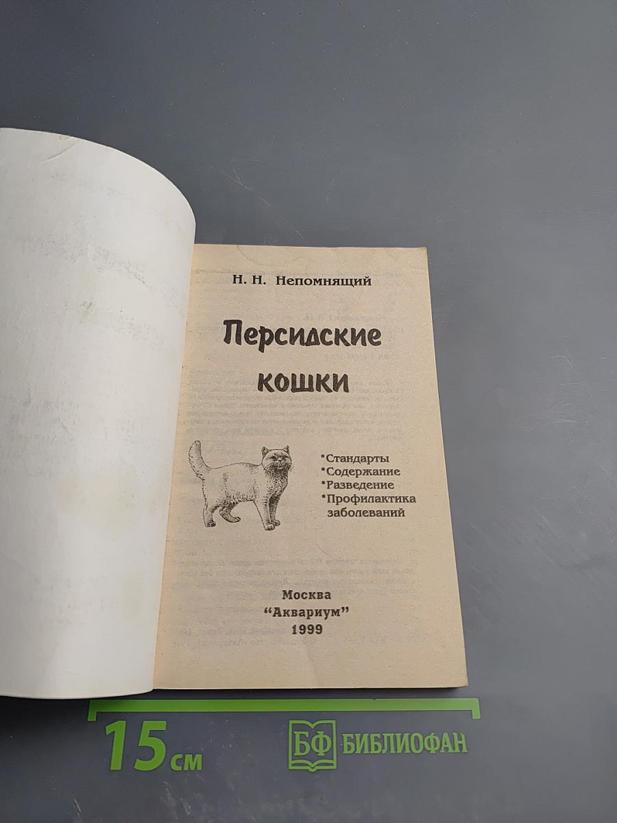 Персидские кошки: стандарты, содержание, разведение, профилактика заболеваний