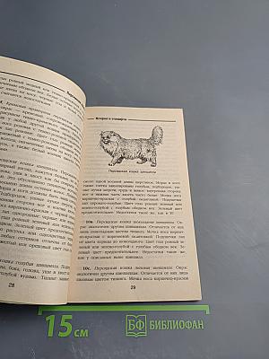 Персидские кошки: стандарты, содержание, разведение, профилактика заболеваний
