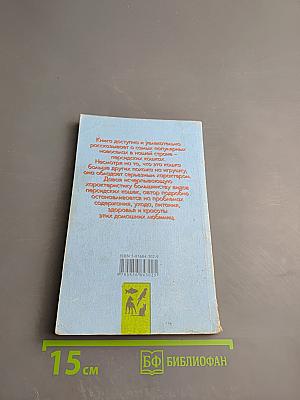 Персидские кошки: стандарты, содержание, разведение, профилактика заболеваний