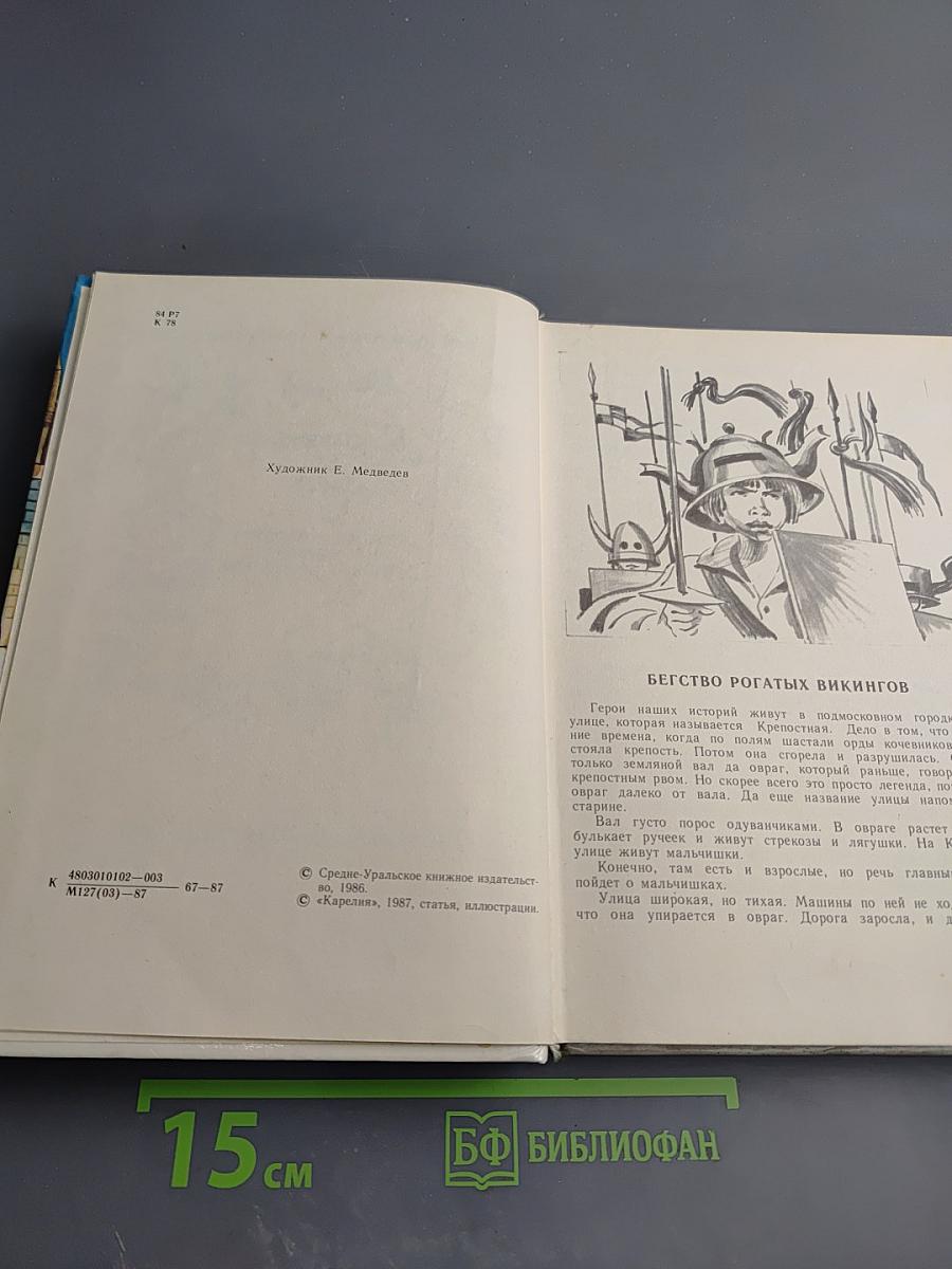 Мушкетер и фея и другие истории из жизни Джонни Воробьева