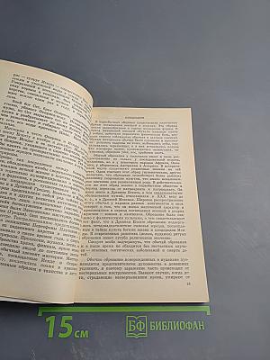 Древо жизни: Об истоках народных и религиозных обрядов