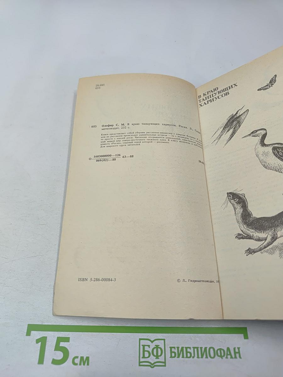 В краю танцующих хариусов. Роска