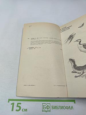 В краю танцующих хариусов. Роска