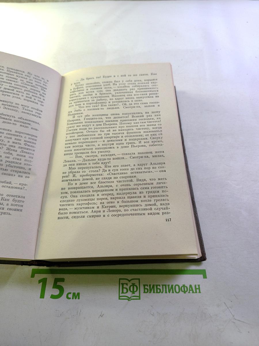 Жерминаль. Собрание сочинений. Том десятый