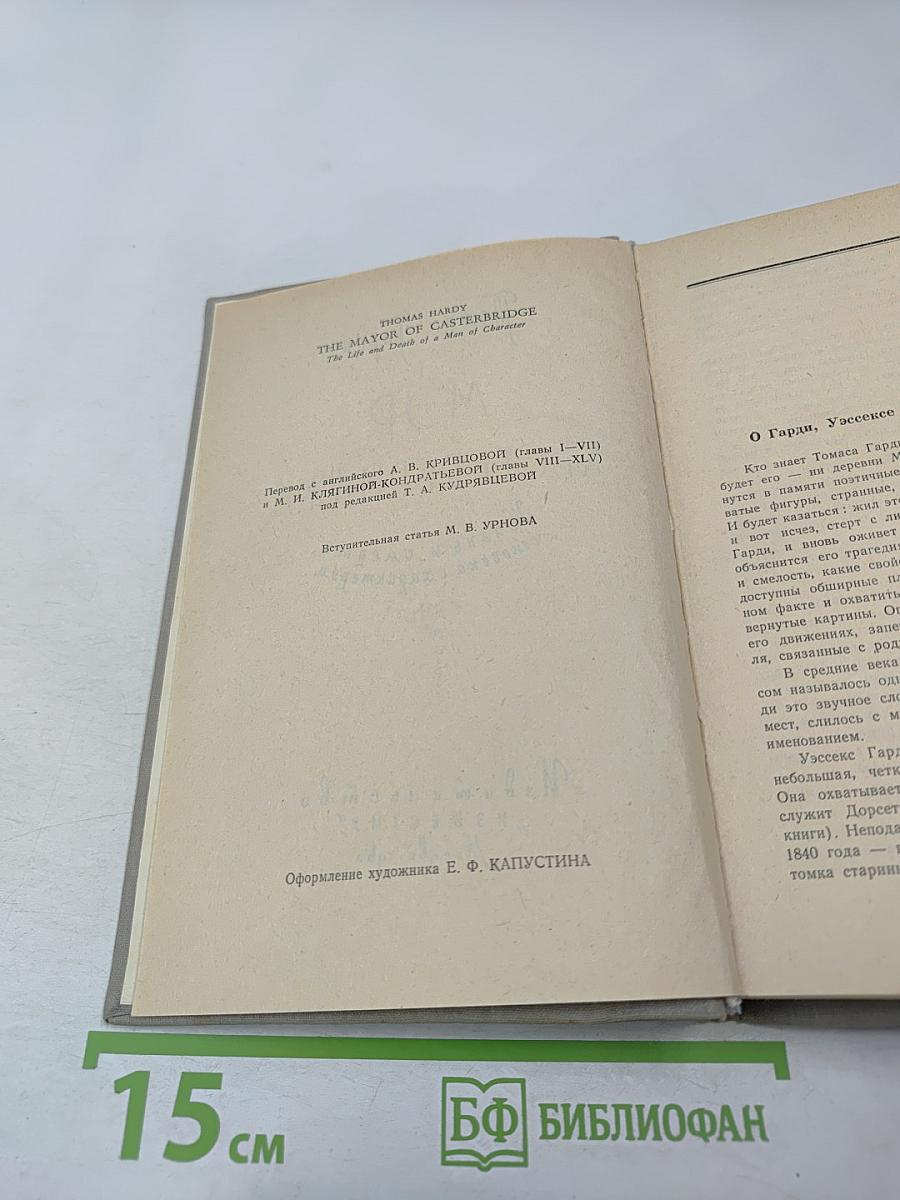 Мэр Кестербриджа