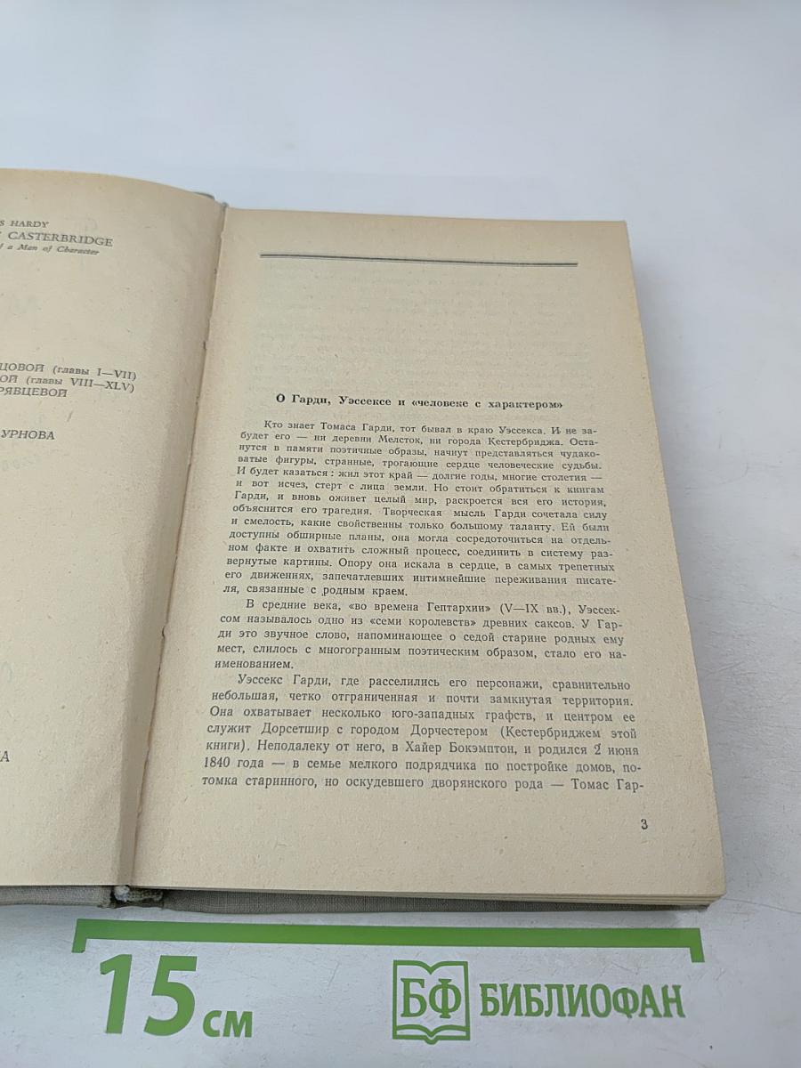 Мэр Кестербриджа