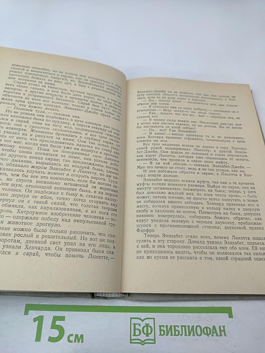 Мэр Кестербриджа