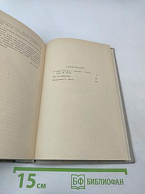 Мэр Кестербриджа