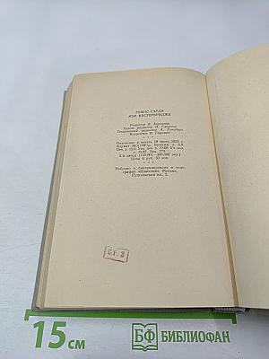 Мэр Кестербриджа