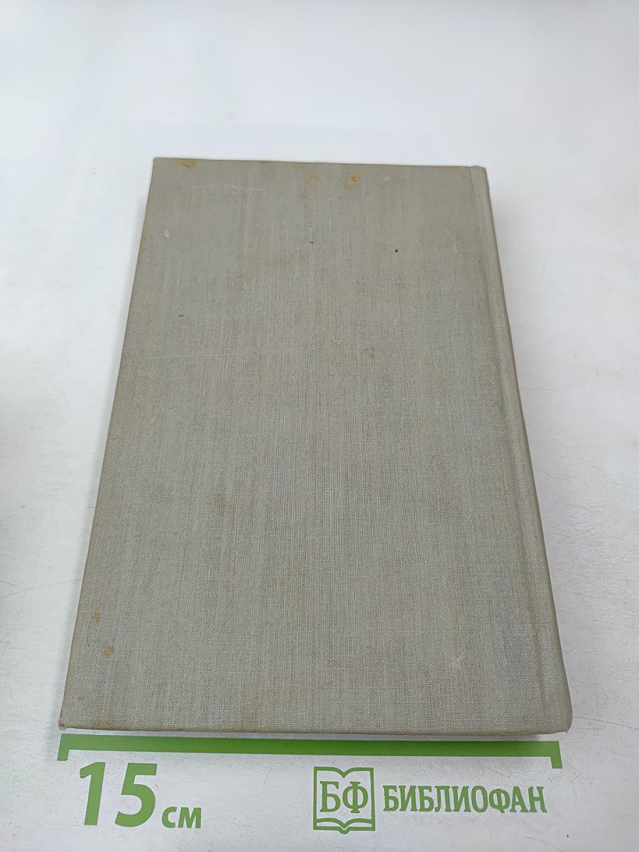 Мэр Кестербриджа