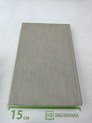 Мэр Кестербриджа