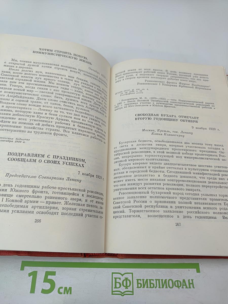 Товарищу Ленину. Письма трудящихся В. И. Ленину 1917-1924