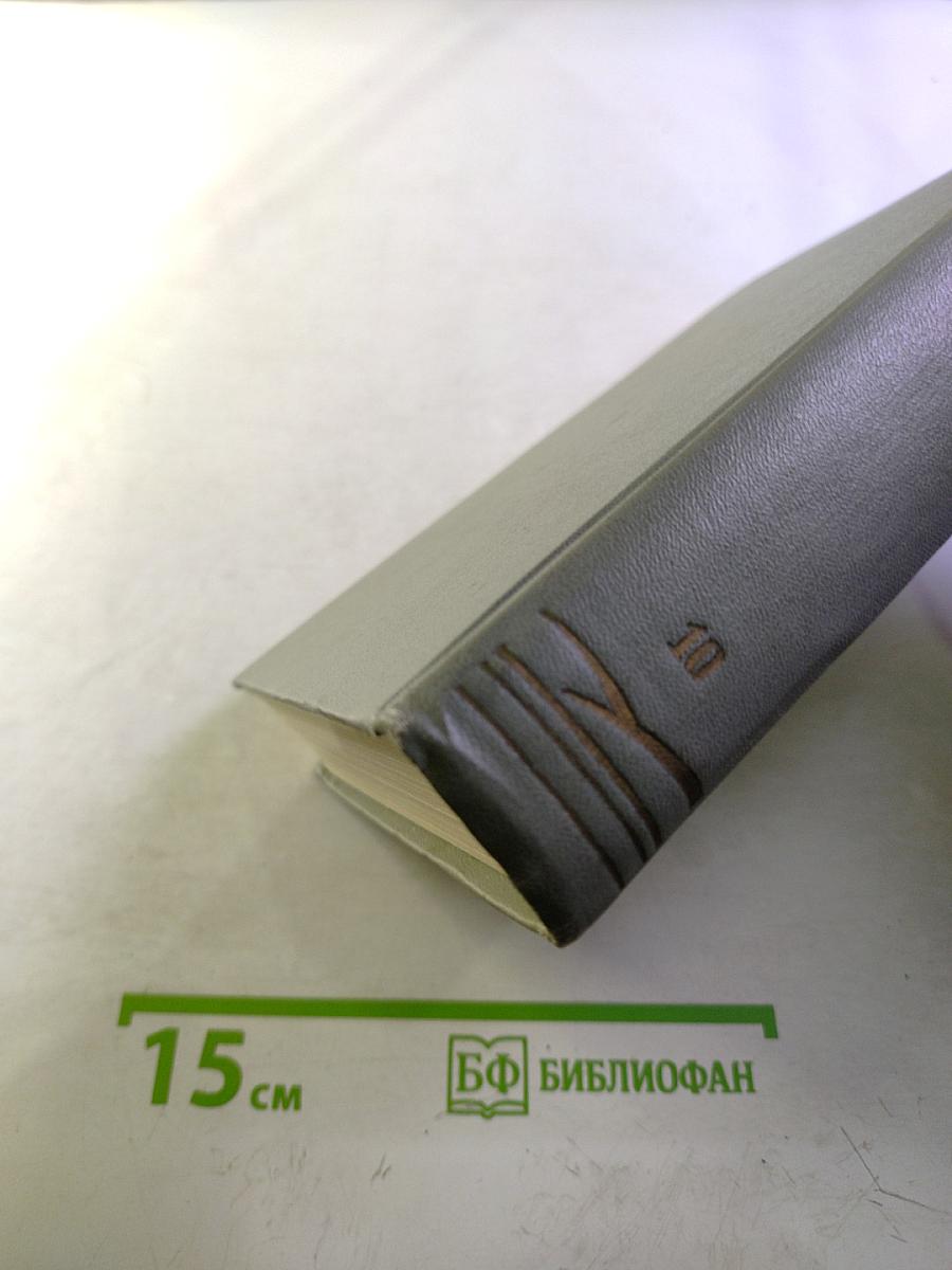 Собрание сочинений. Том десятый. Из Сибири. Остров Сахалин. Фельетоны, статьи, записные книжки, дневники 1895-1903