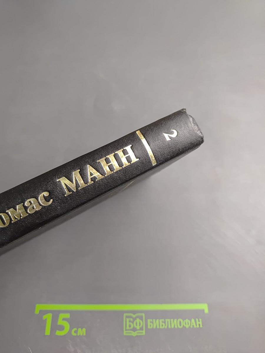 Волшебная гора, часть 2