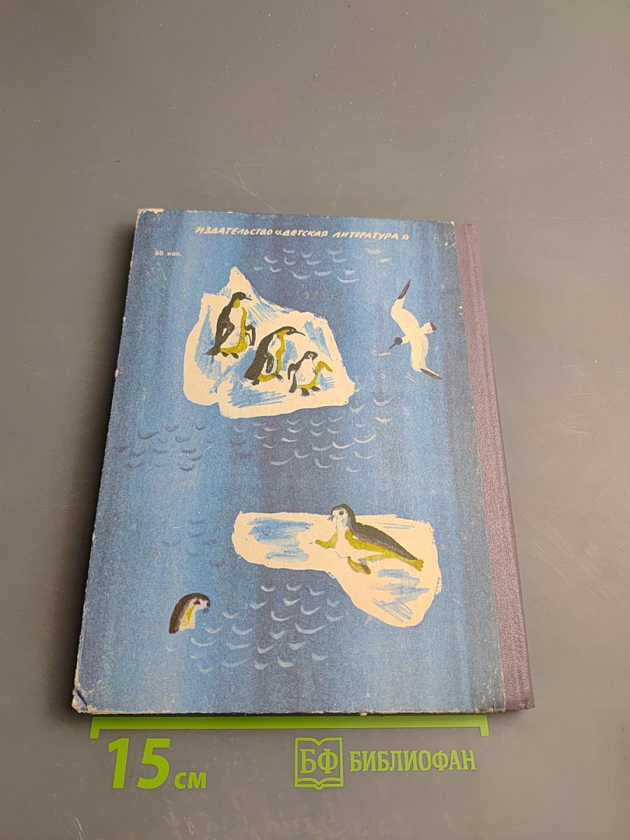 Стихи из рюкзака