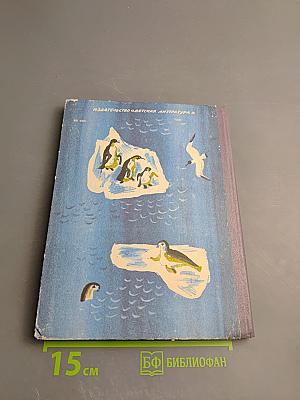 Стихи из рюкзака