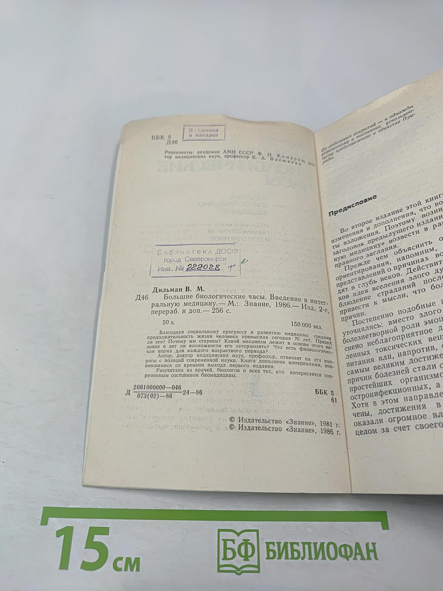 Большие биологические часы