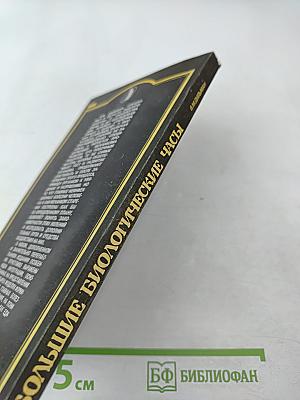 Большие биологические часы