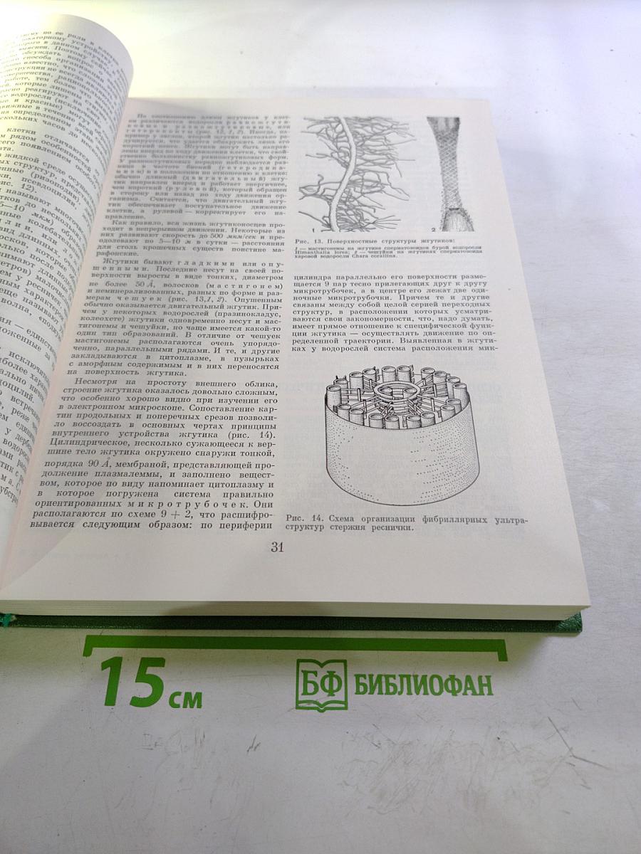 Жизнь растений. Том третий. Водоросли и лишайники