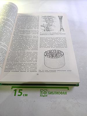 Жизнь растений. Том третий. Водоросли и лишайники