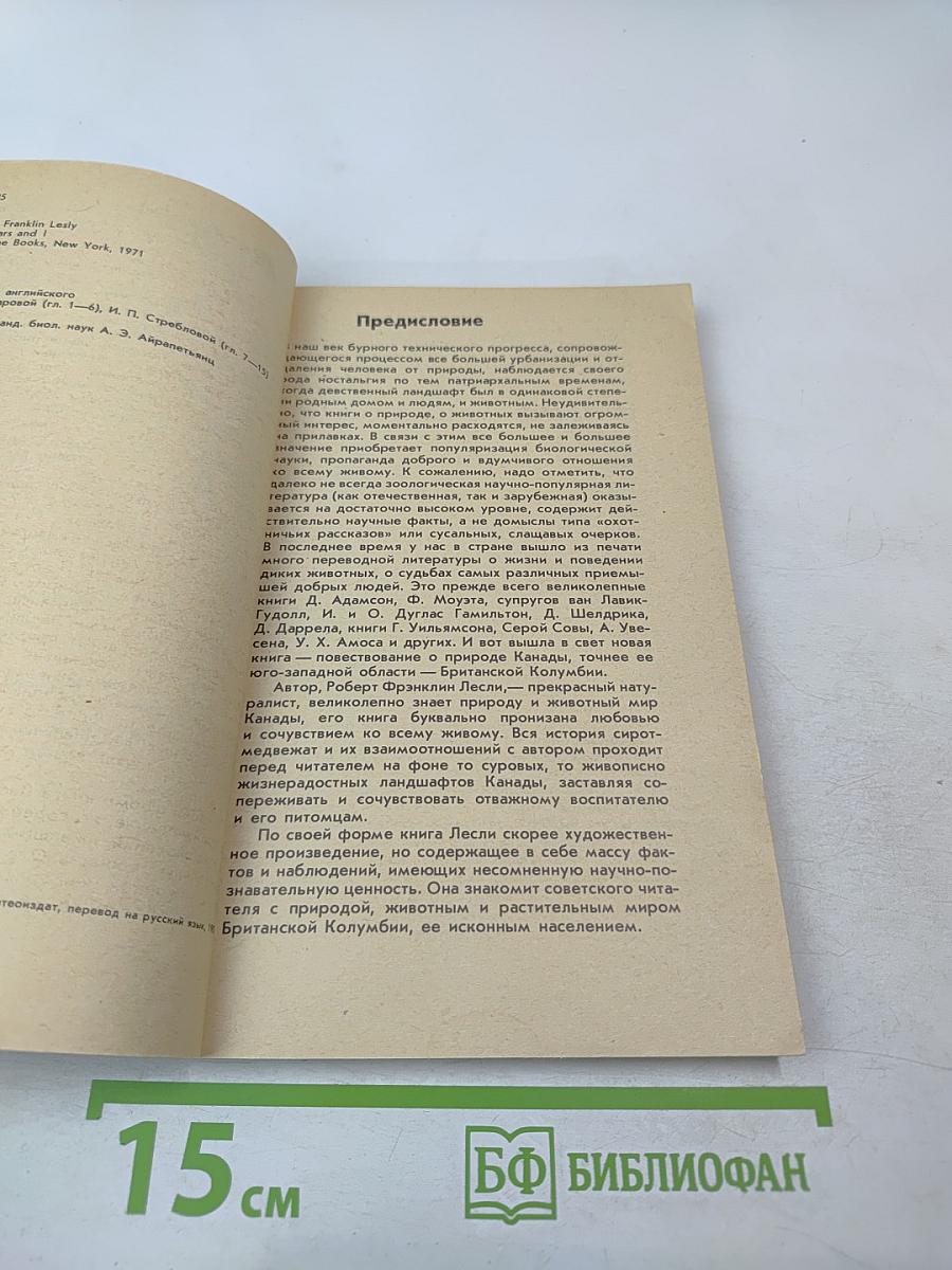 Медведи и Я