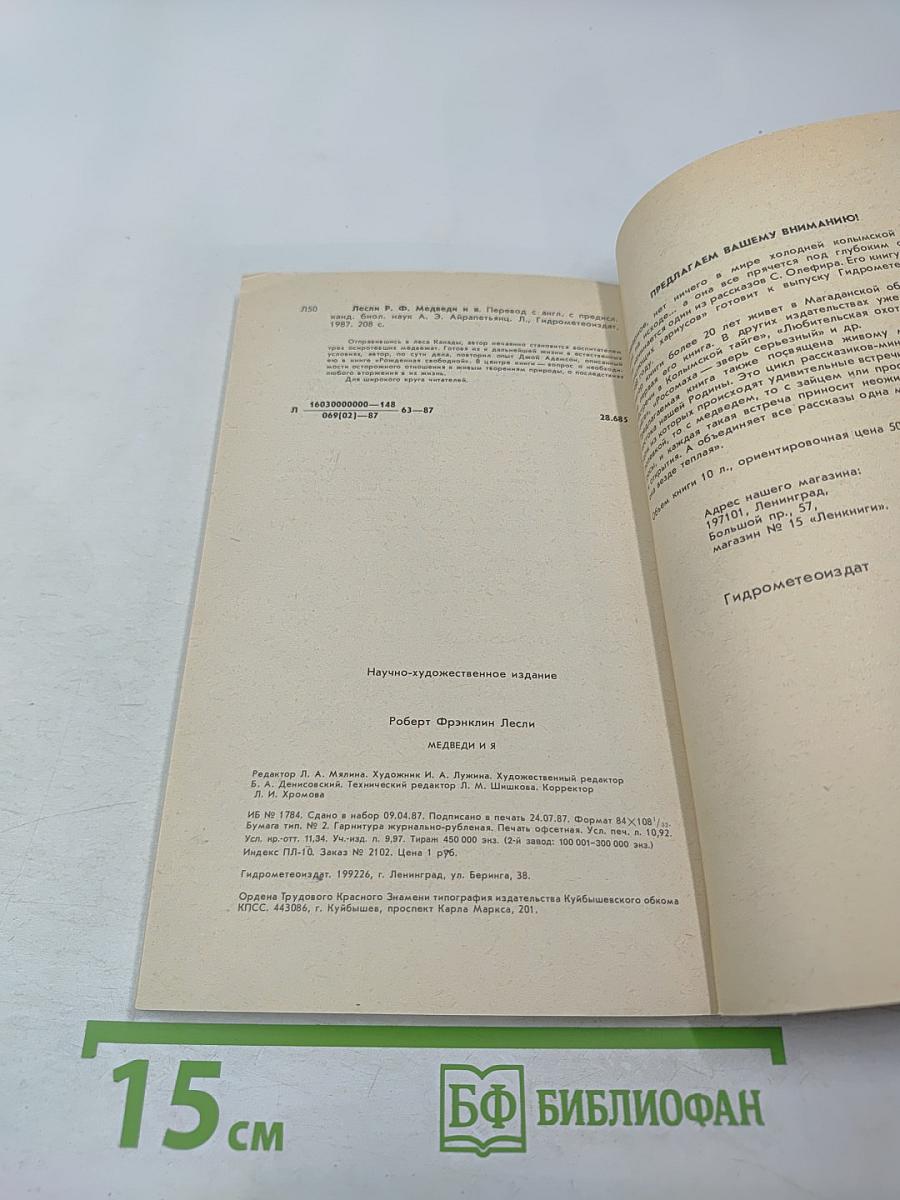 Медведи и Я