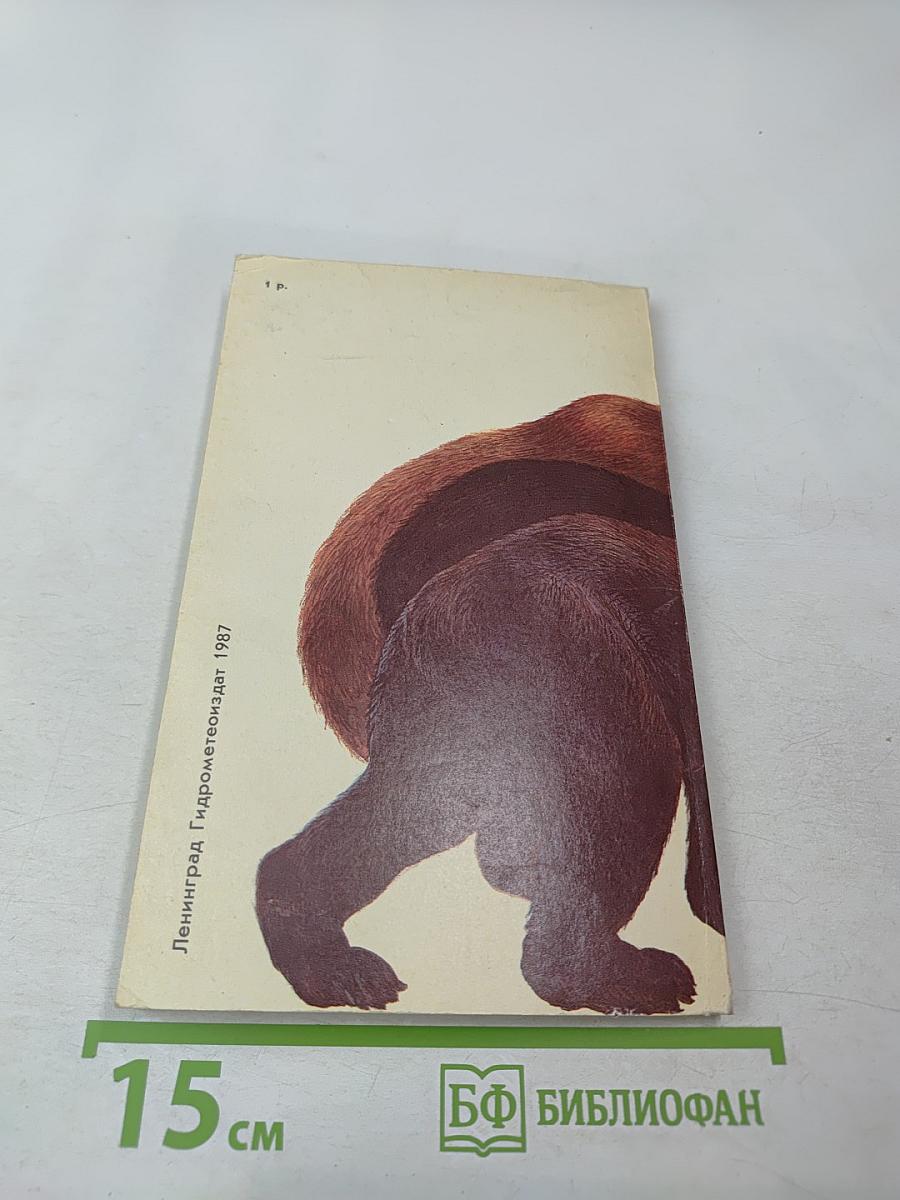 Медведи и Я