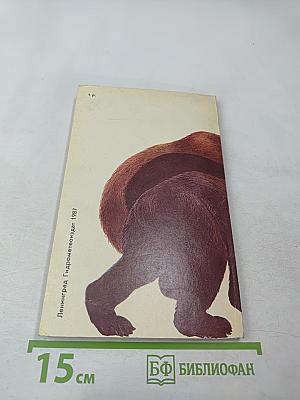 Медведи и Я