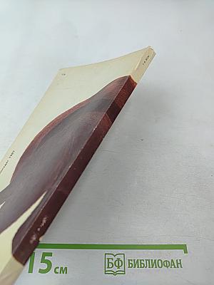 Медведи и Я