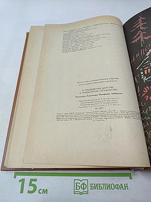 В тридевятом царстве, в тридесятом государстве