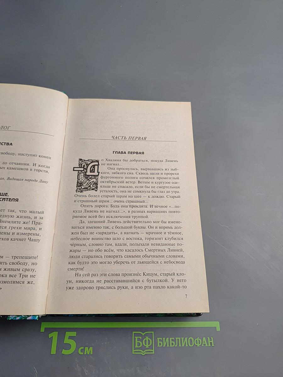 Алмазный меч, деревянный меч. Книга первая