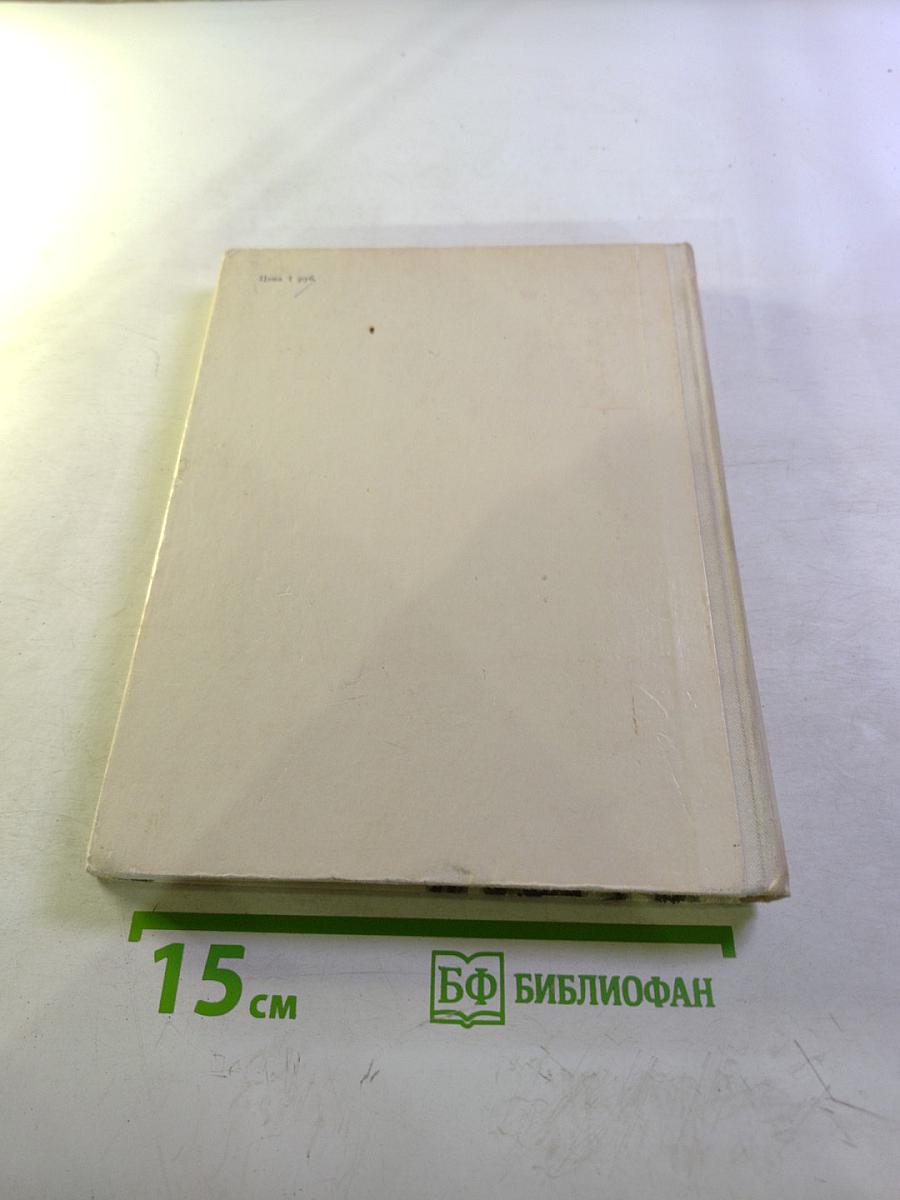 Рассказы и сказки