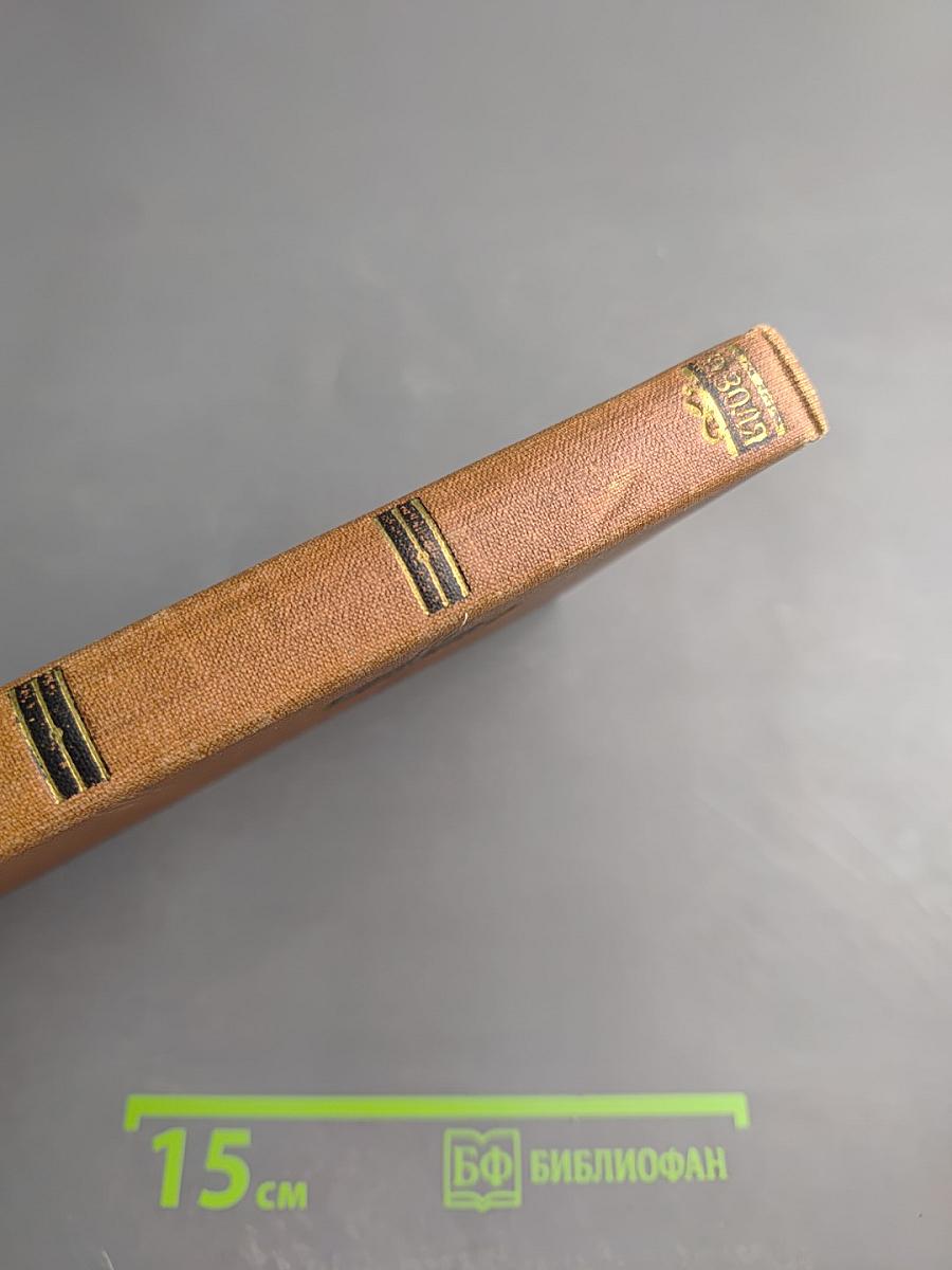 Завоевание Плассана