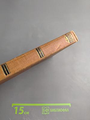 Завоевание Плассана