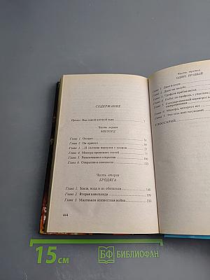 Сварог. Рыцарь из Ниоткуда