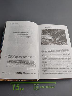 Череп на рукаве