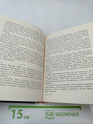Семья Ульяновых в Петербурге - Петрограде