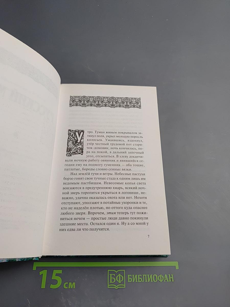 Избранное из цикла Я, Всеслав