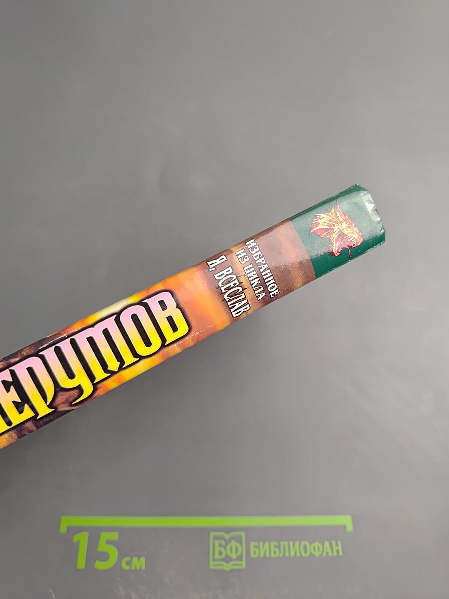 Избранное из цикла Я, Всеслав