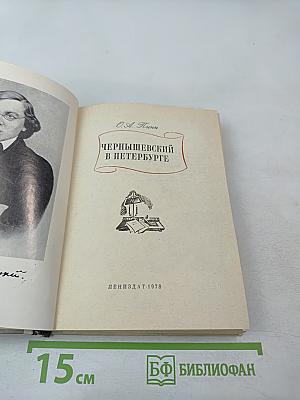 Чернышевский в Петербурге